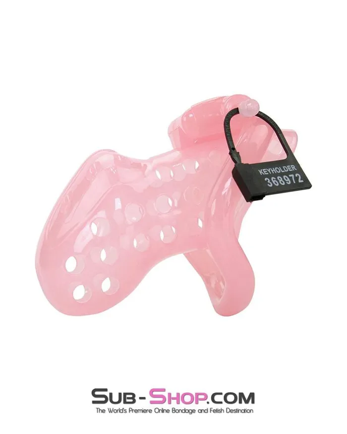 1432AR Sissy Boy Toy Pink High Security Pin Tumbler Locking Cock Cage Chastity MEGA Deal Aria Male Sex Toys