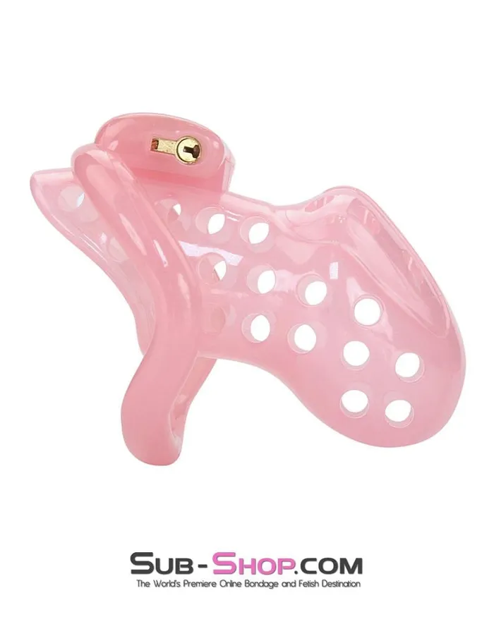 1432AR Sissy Boy Toy Pink High Security Pin Tumbler Locking Cock Cage Chastity MEGA Deal Aria Male Sex Toys