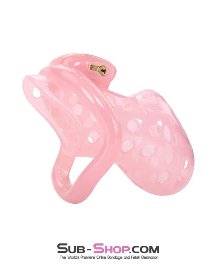 1432AR Sissy Boy Toy Pink High Security Pin Tumbler Locking Cock Cage Chastity MEGA Deal Aria Male Sex Toys